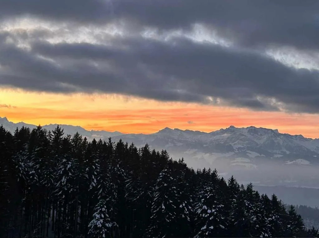 Aussicht vom Bachtel auf eine schneebedeckte Landschaft. 